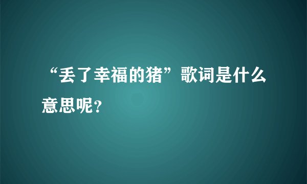 “丢了幸福的猪”歌词是什么意思呢？