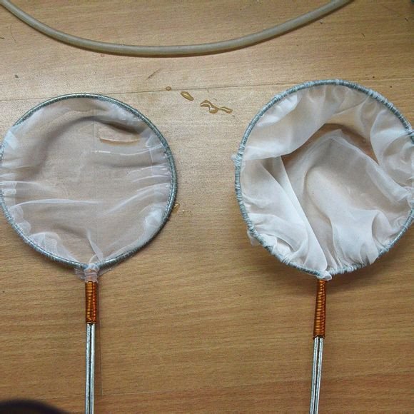 丰年虾卵怎么卵化喂鱼？