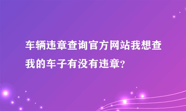 车辆违章查询官方网站我想查我的车子有没有违章？