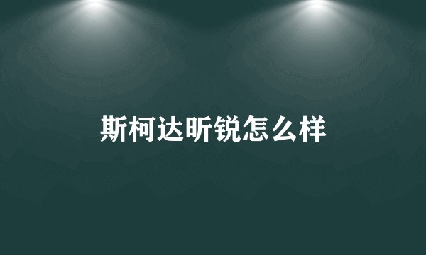 斯柯达昕锐怎么样