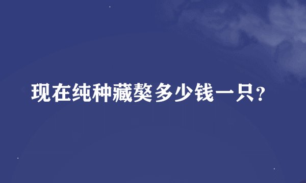现在纯种藏獒多少钱一只？