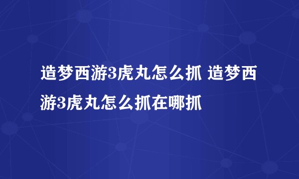 造梦西游3虎丸怎么抓 造梦西游3虎丸怎么抓在哪抓