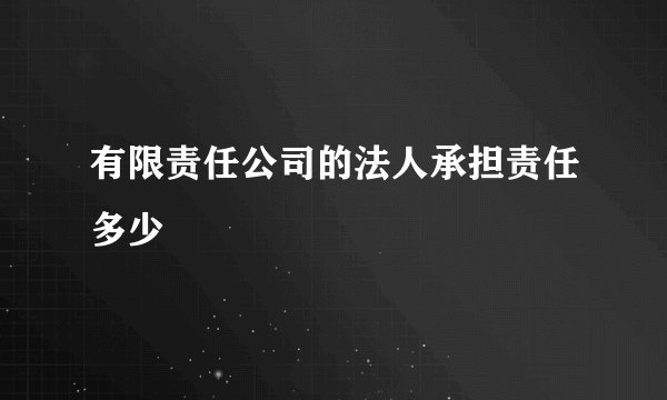 有限责任公司的法人承担责任多少