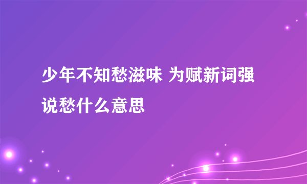 少年不知愁滋味 为赋新词强说愁什么意思