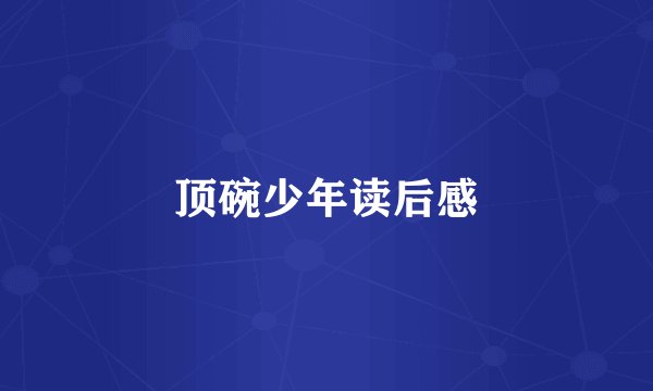 顶碗少年读后感