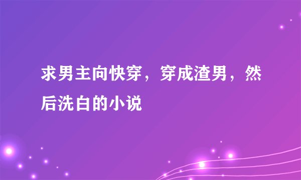 求男主向快穿，穿成渣男，然后洗白的小说