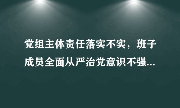 党组主体责任落实不实，班子成员全面从严治党意识不强的整改措施
