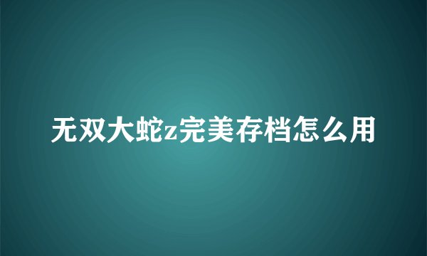 无双大蛇z完美存档怎么用