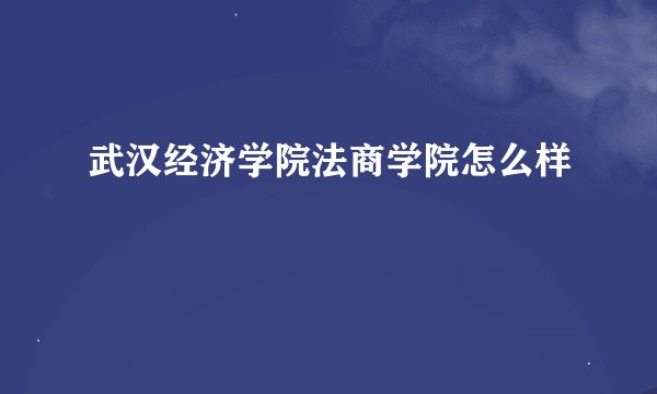 武汉经济学院法商学院怎么样