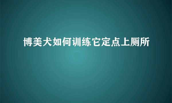 博美犬如何训练它定点上厕所