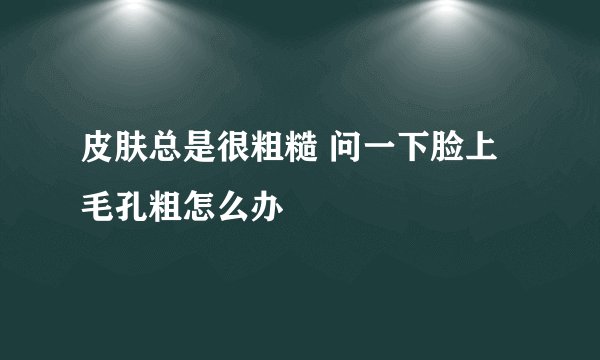 皮肤总是很粗糙 问一下脸上毛孔粗怎么办