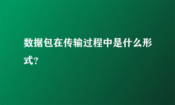 数据包在传输过程中是什么形式？