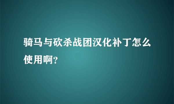 骑马与砍杀战团汉化补丁怎么使用啊？