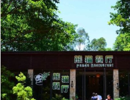 广州长隆野生动物园的游玩攻略?