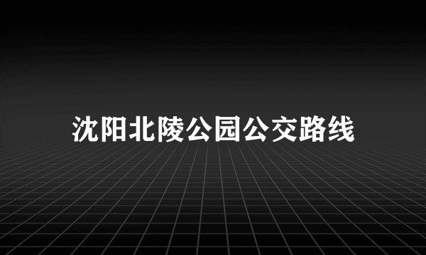沈阳北陵公园公交路线