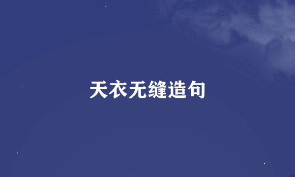 天衣无缝造句