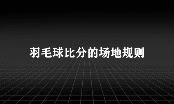 羽毛球比分的场地规则