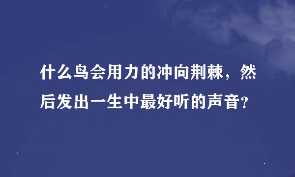 什么鸟会用力的冲向荆棘，然后发出一生中最好听的声音？