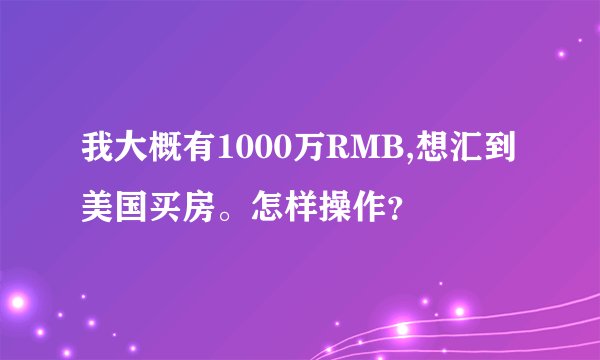 我大概有1000万RMB,想汇到美国买房。怎样操作？