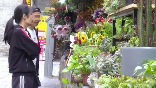 24小时自助花店两年没丢一盆花,是由于市民的素质越来越高了吗?