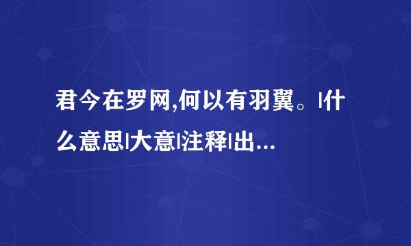 君今在罗网,何以有羽翼。|什么意思|大意|注释|出处|译文