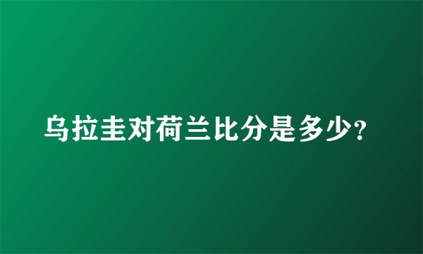 乌拉圭对荷兰比分是多少？