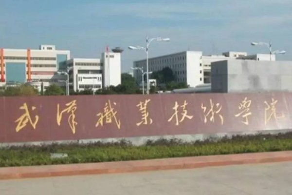 武汉职业技术学院2022分数线