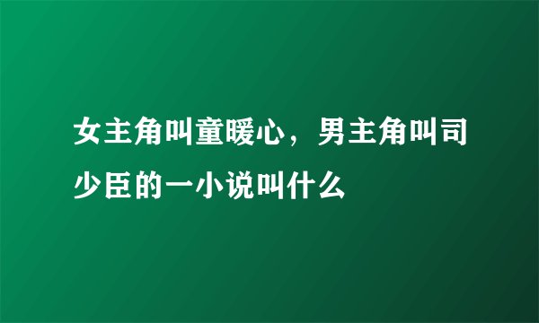 女主角叫童暖心，男主角叫司少臣的一小说叫什么