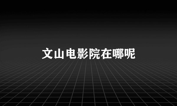 文山电影院在哪呢