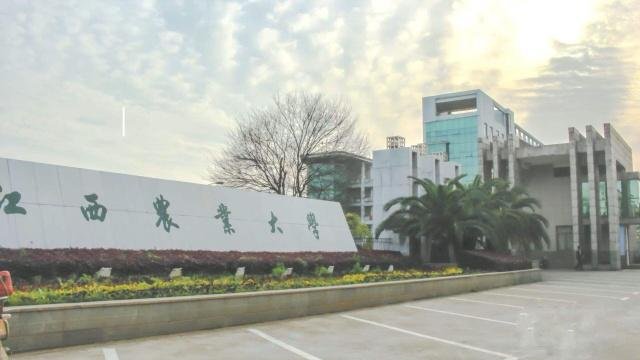 哪所大学被“降级”,从第一批次沦落为二本招生,曾有112所分校?