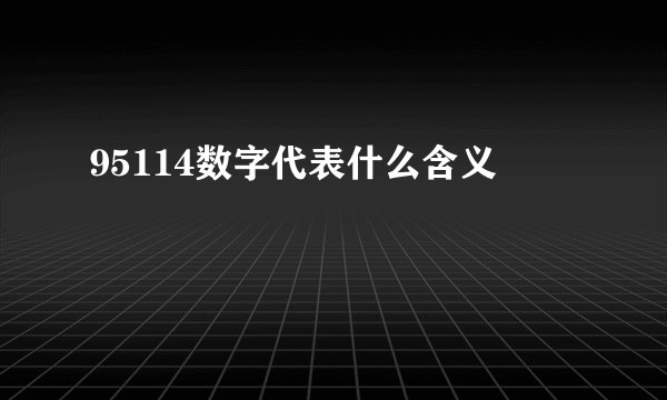 95114数字代表什么含义