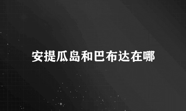 安提瓜岛和巴布达在哪