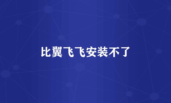 比翼飞飞安装不了