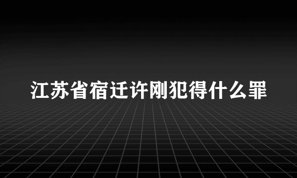 江苏省宿迁许刚犯得什么罪