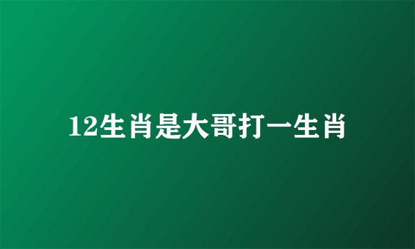 12生肖是大哥打一生肖