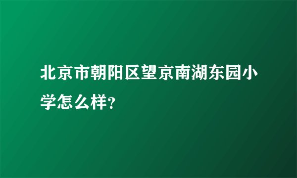 北京市朝阳区望京南湖东园小学怎么样？
