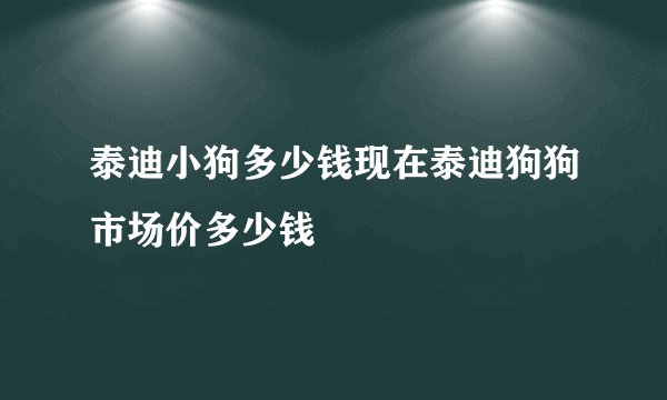 泰迪小狗多少钱现在泰迪狗狗市场价多少钱