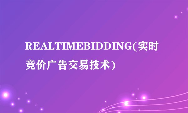 REALTIMEBIDDING(实时竞价广告交易技术)