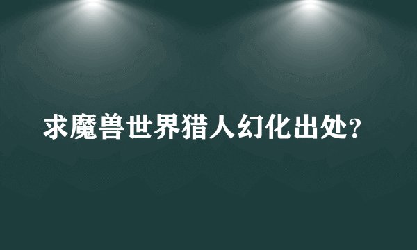 求魔兽世界猎人幻化出处？