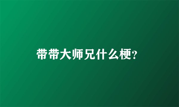带带大师兄什么梗？