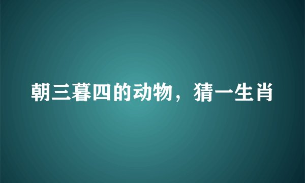 朝三暮四的动物，猜一生肖