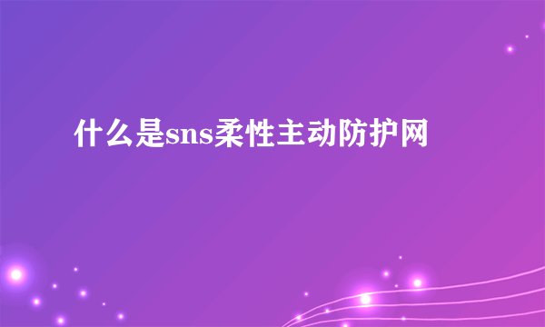 什么是sns柔性主动防护网
