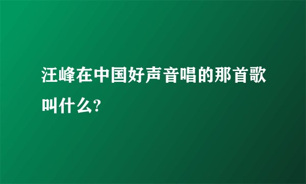 汪峰在中国好声音唱的那首歌叫什么?