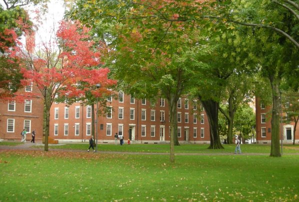 青岛大学2023年高考录取分数线是多少啊？