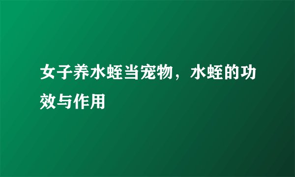 女子养水蛭当宠物，水蛭的功效与作用