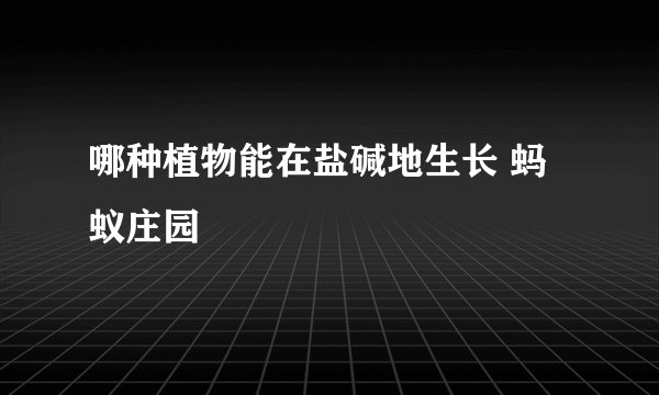 哪种植物能在盐碱地生长 蚂蚁庄园