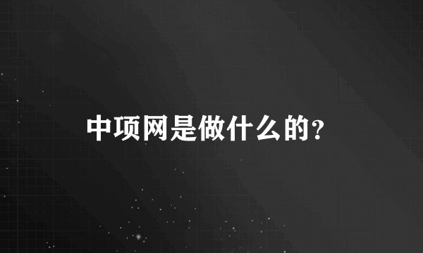 中项网是做什么的？