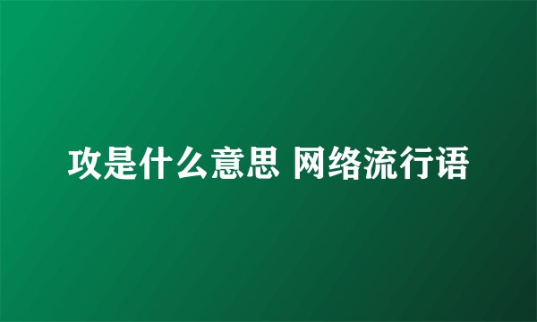 攻是什么意思 网络流行语