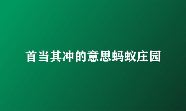 首当其冲的意思蚂蚁庄园