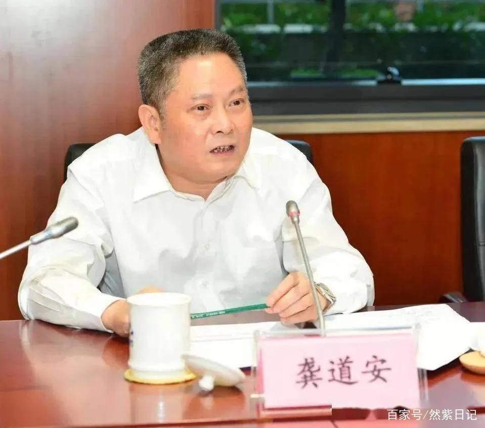 龚道安被逮捕，被逮捕的原因是什么？